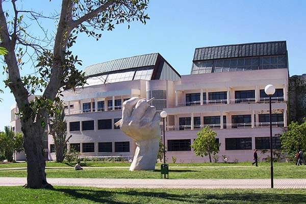 阿利坎特大学